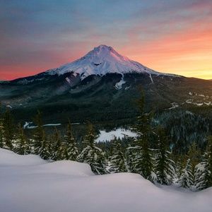 Meet your Posher, Cesar